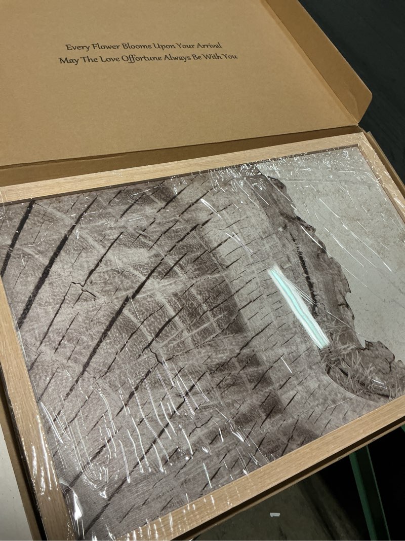 Condition photo showing New/Like New for qkyluck b0fvlvrj8v tree rings 12 x 16 inches (each panel)