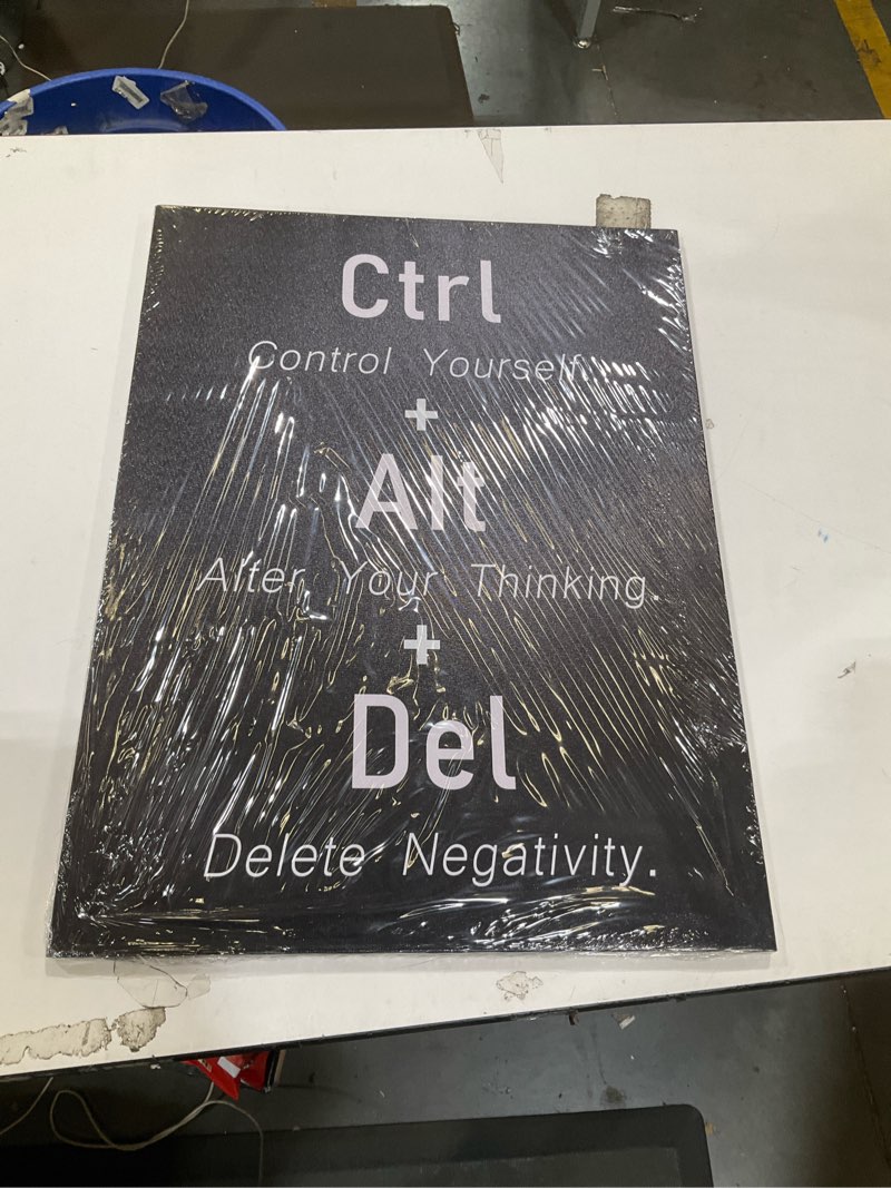 Condition photo showing Good Condition for ctrl alt del signs inspirational canvas poster alter your thinking motivational wall art positive quotes for office living room bedroom printed artwork framed [18" w x 24" h] 18"l x 24"w b-succ-23