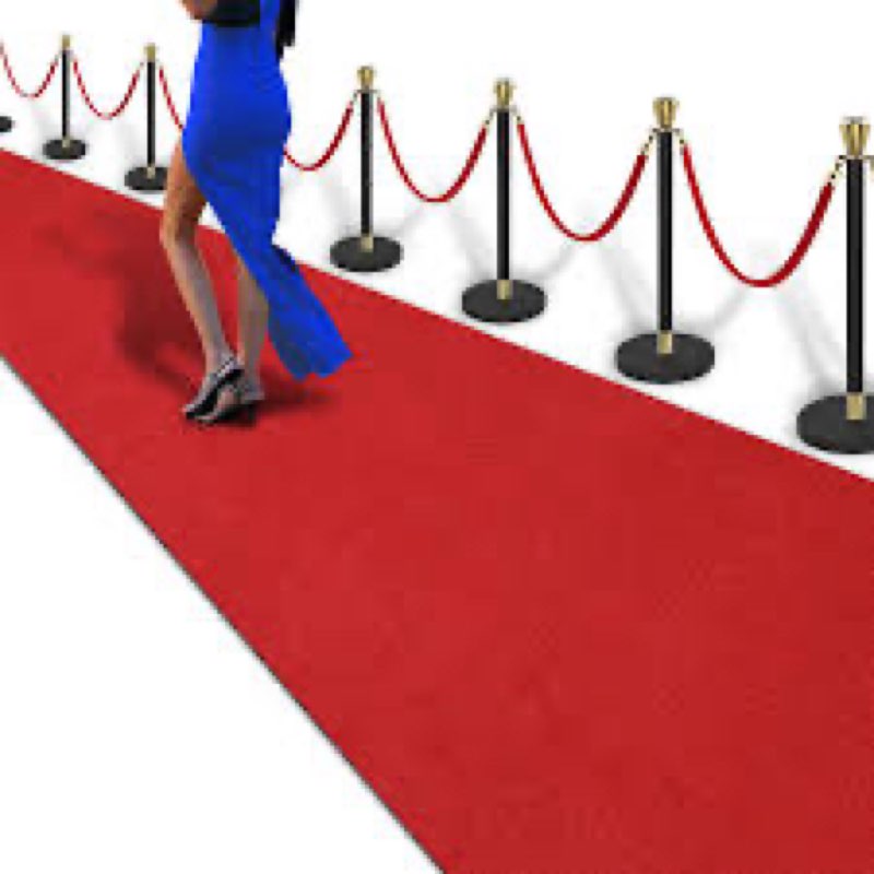 Red Carpet Runner Rug for Party and Event, Non-Slip TPR Rubber Backed Aisle Runway red Rug for Step,