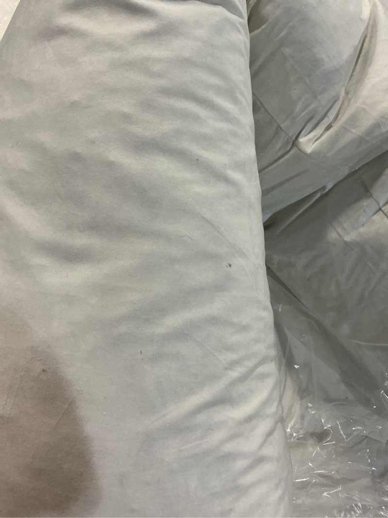 Condition photo showing As Is for premium feather pillow insert, 12x48, no color