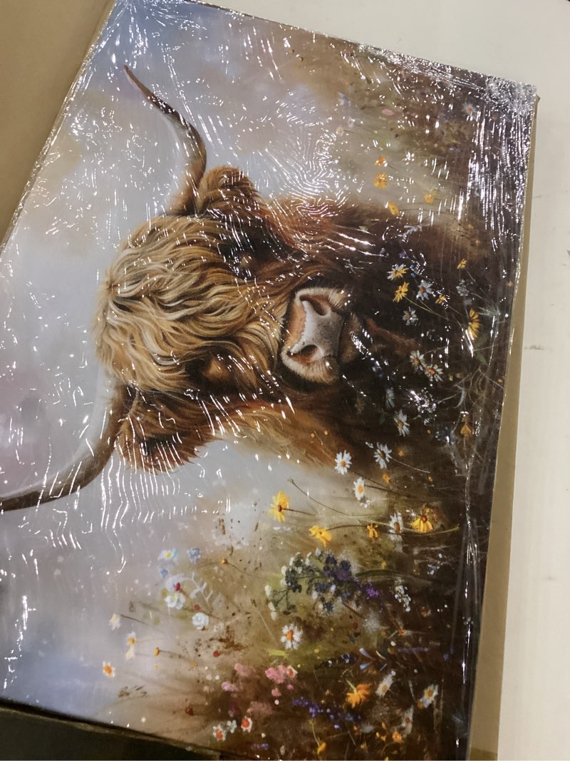 Sendata Framed Highland Cow Canvas Prints Wall Art Farmhouse Theme Highland Cow Pictures Paintings P