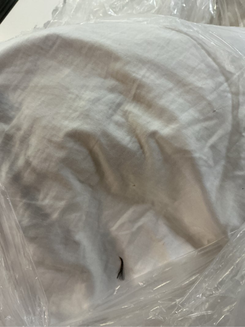Condition photo showing As Is for premium feather pillow insert (set of 2), 20x20, no color