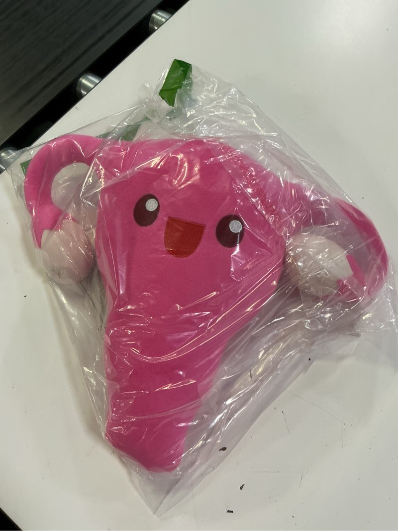 Condition photo showing Good Condition for mumufy uterus plush toy funny stuffed plush toy for women uterus gifts gynecologist health educational gift fertility party decor(uterus style)