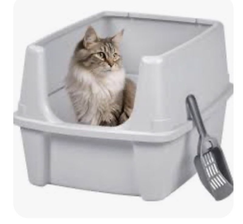 IRIS USA Open Top Cat Litter Box with Scatter Shield and Scoop