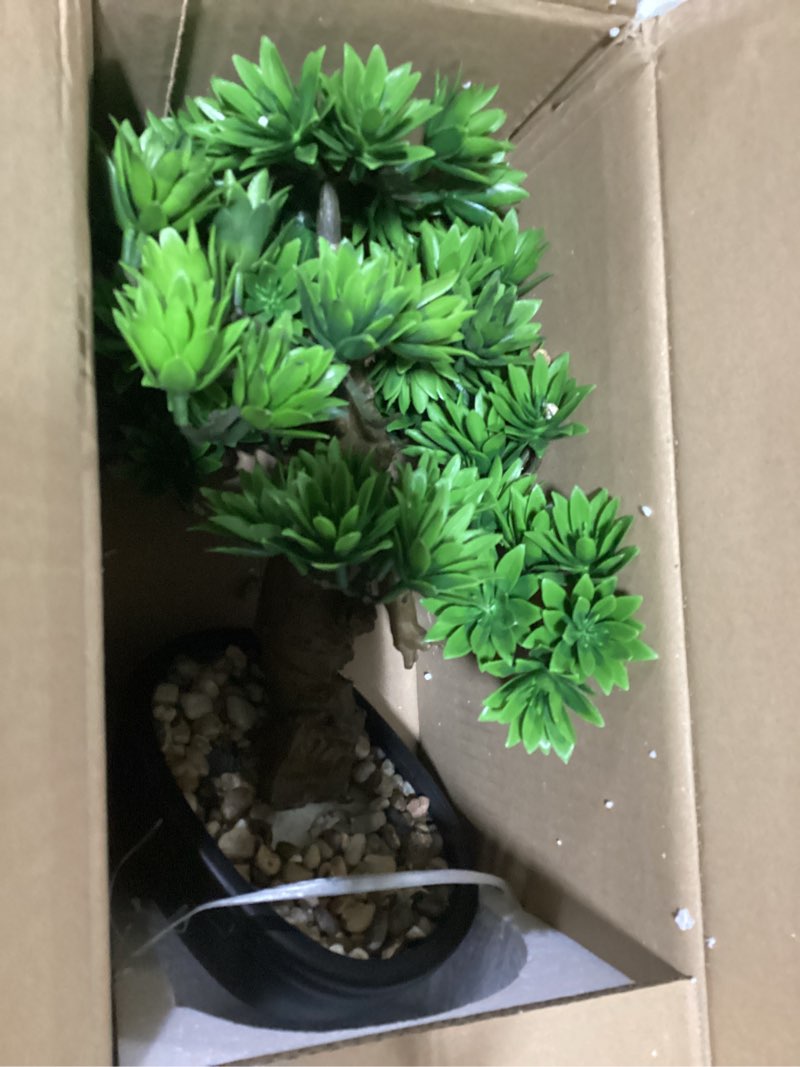 Condition photo showing As Is for fake bonsai tree small bonsai plant 15.7” tall artificial bonsai trees with black pot decorated with pebbles desk plant indoor bonsai for home office decor plastic pot