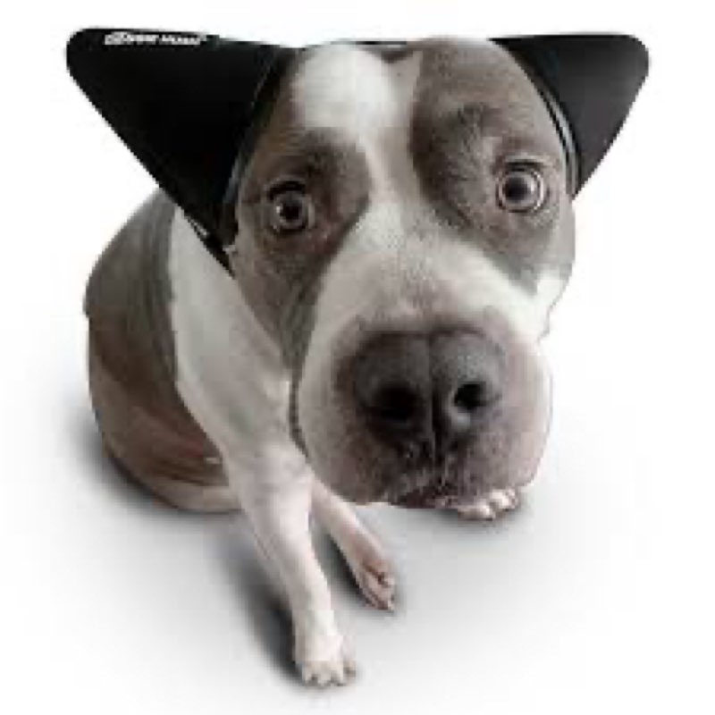 Doggie Hush Dog Headphones - Dog Ear Muffs Noise Protection, Noise Canceling, Calming Ear Covers for