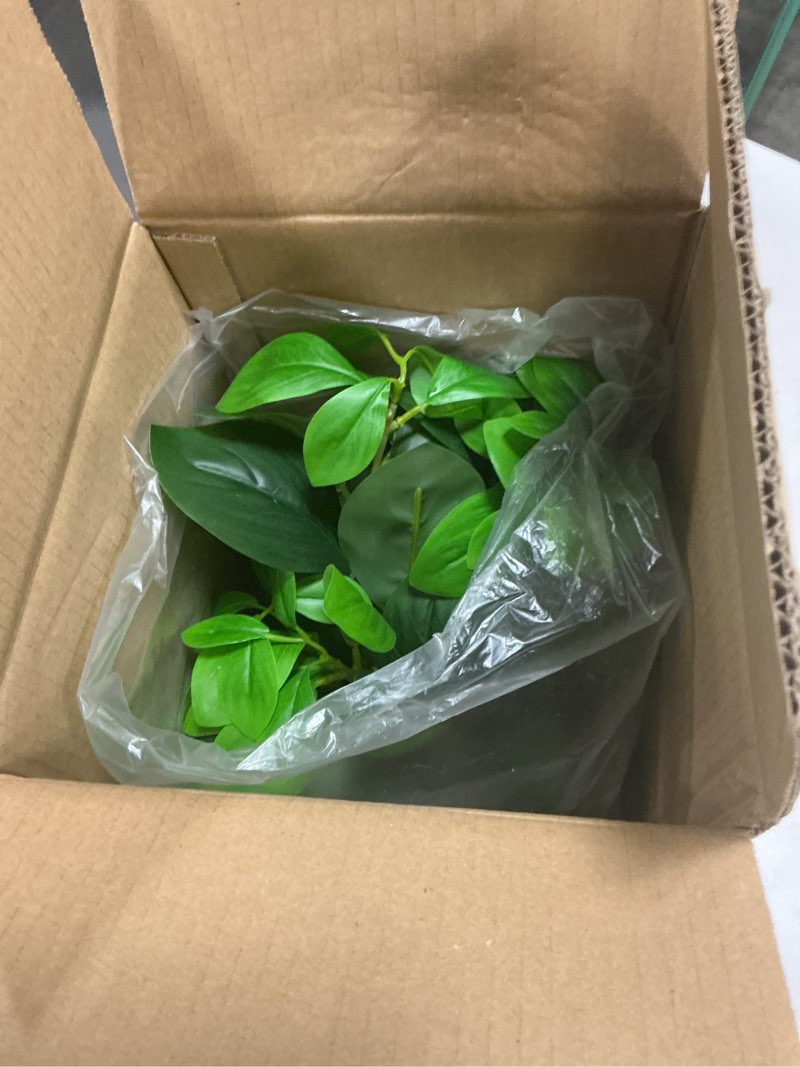 Condition photo showing Good Condition for k&y realistic artificial potted plants olive wild fern berry decor low maintenance faux greenery indoor fake plants for home office bathroom kitchen desk shelf (gray flowerpot potted plant)
