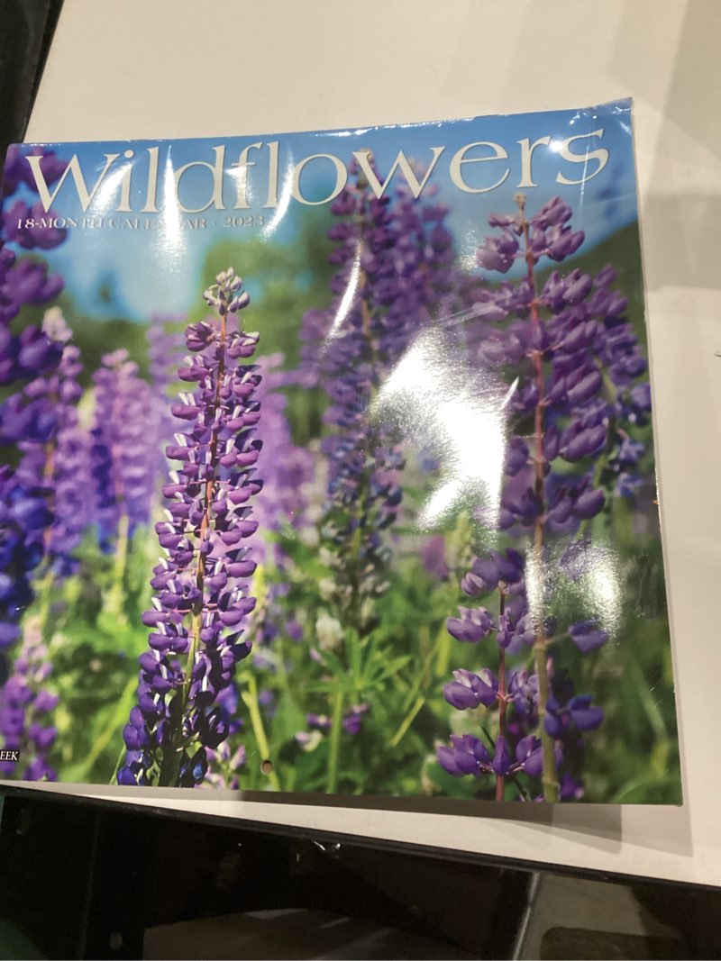 Condition photo showing New/Like New for Wildflowers 2023 Wall Calendar