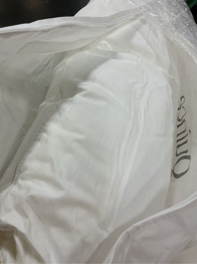 Condition photo showing Good Condition for premium down alternative pillow, king, soft/medium