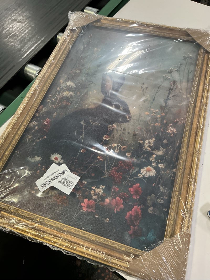 Condition photo showing Good Condition for vintage gold framed bunny wall art dark moody botanical cottagecore rabbit painting canvas prints dark academia floral poster gothic black animal picture artwork for bedroom living room decoation black bunny 24''lx16''w