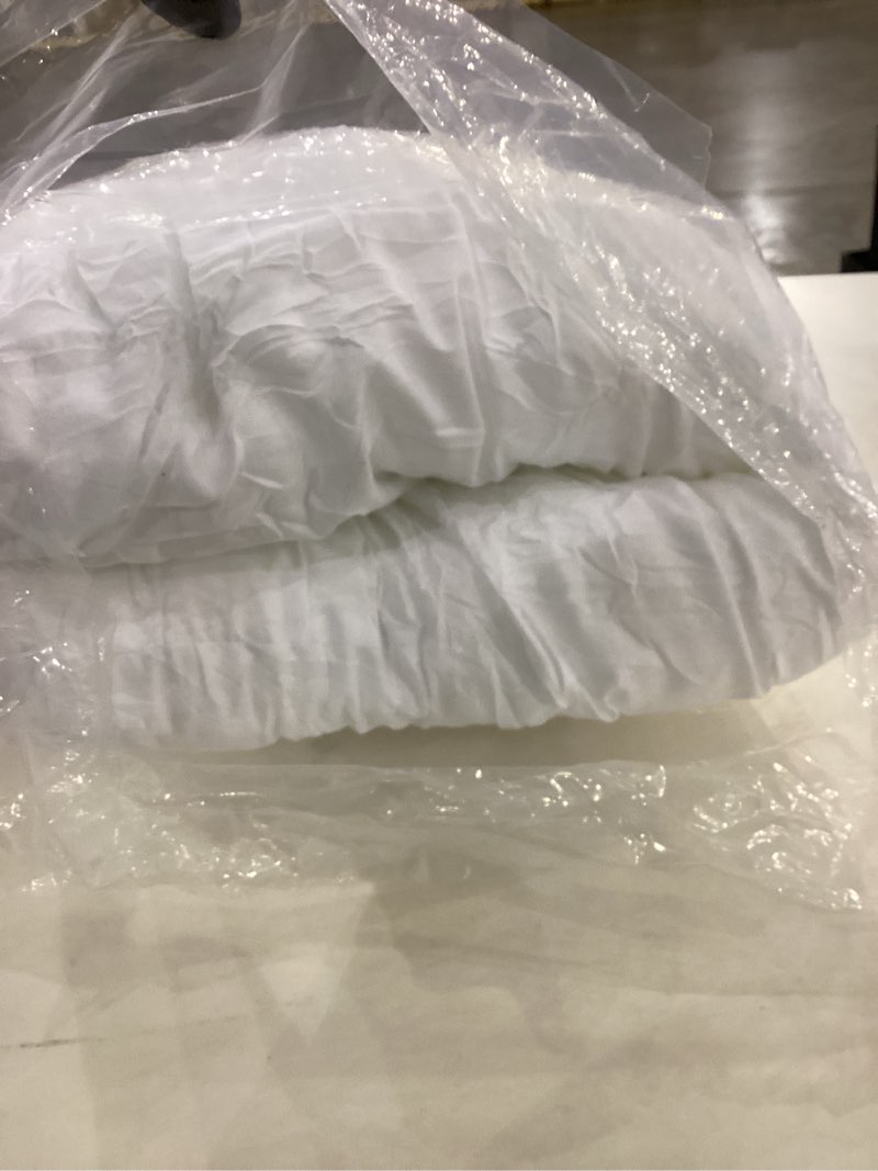 throw pillows insert set of 2, white 20x20 in pillow inserts with 100% cotton cover,bed and couch de