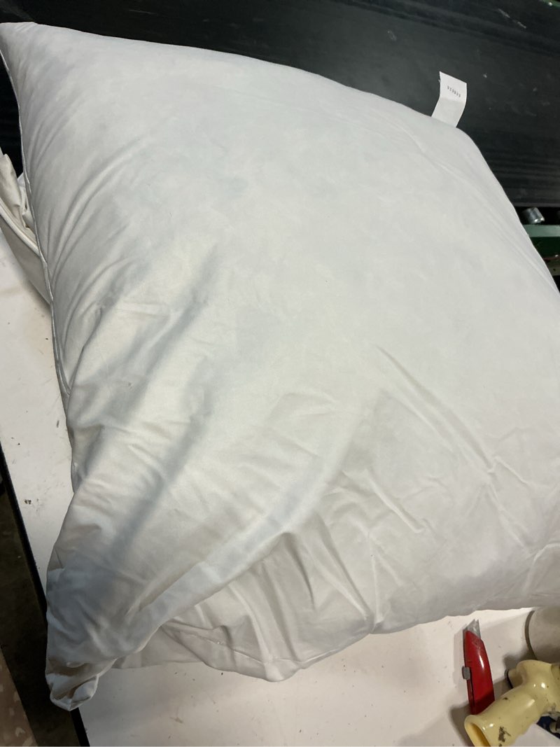 Condition photo showing As Is for premium feather pillow insert (set of 2), 26x26, no color