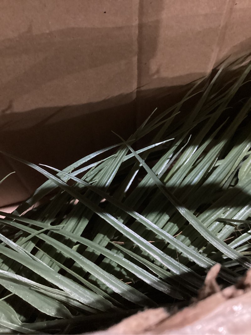 Condition photo showing As Is for Artificial Palm Plant 3FT Fake Palm Tree with 9 Trunks Perfect 36inch Faux Tropical Palm Plants in Pot for Indoor Outdoor House Home Office Garden Modern Decor Housewarming Gift (2 Pack) 2 3FT