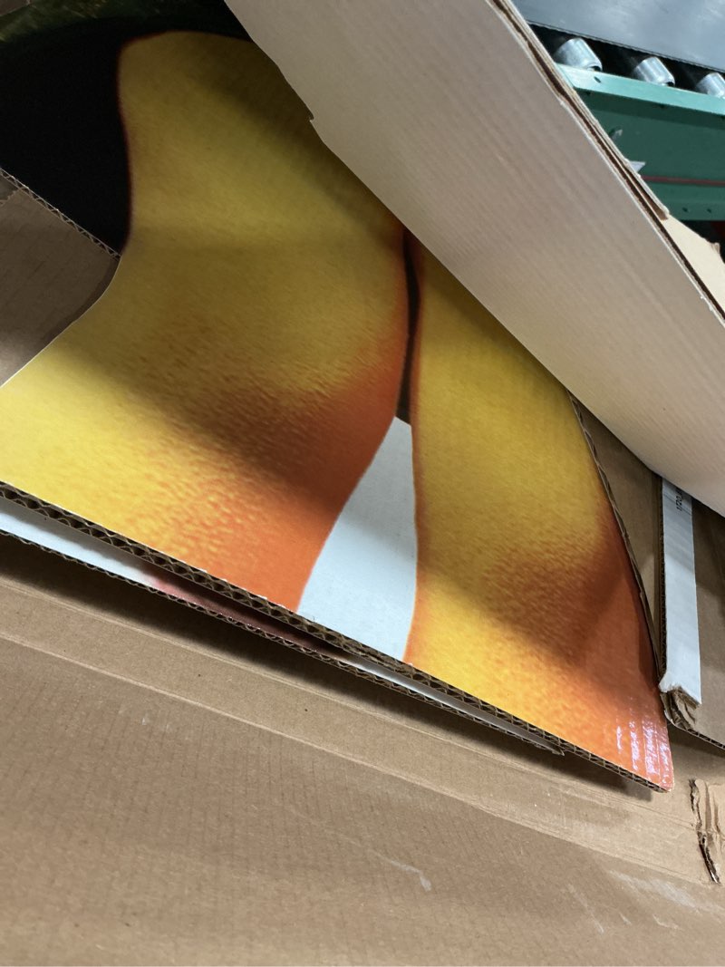 Condition photo showing Good Condition for Advanced Graphics Buddy The Elf Excited Life Size Cardboard Cutout Standup - Elf (2003 Film)