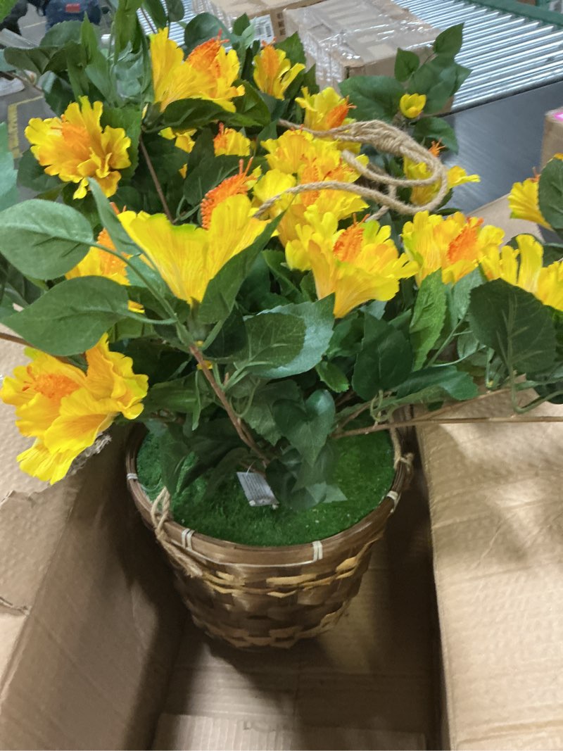 Condition photo showing Good Condition for nearly natural hibiscus hanging basket yellow 22in.