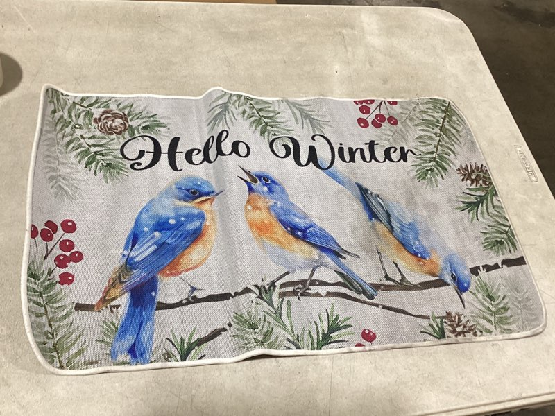 Condition photo showing As Is for welcome door mat funny welcome mat outdoor beach barefoot funny floor mat indoor outdoor doormat 18"x30" a2571 18*30inch/45x75 cm