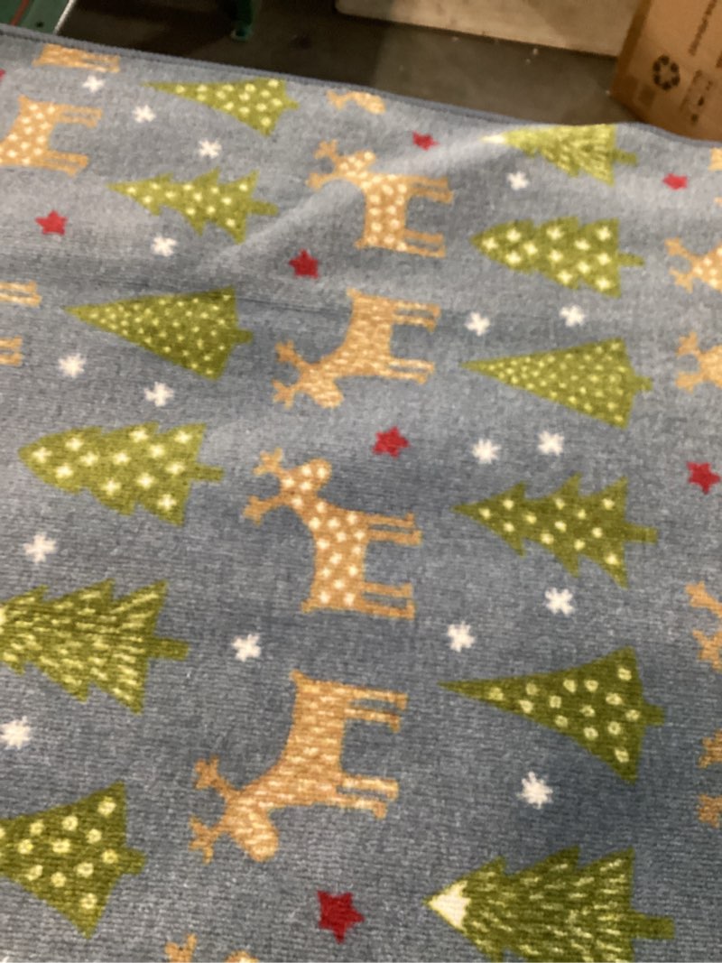 Condition photo showing Good Condition for machine washable rugs for holiday decor at magpies mercantile size 30x46