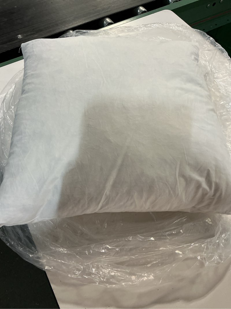 Condition photo showing Good Condition for premium feather pillow insert 20x20