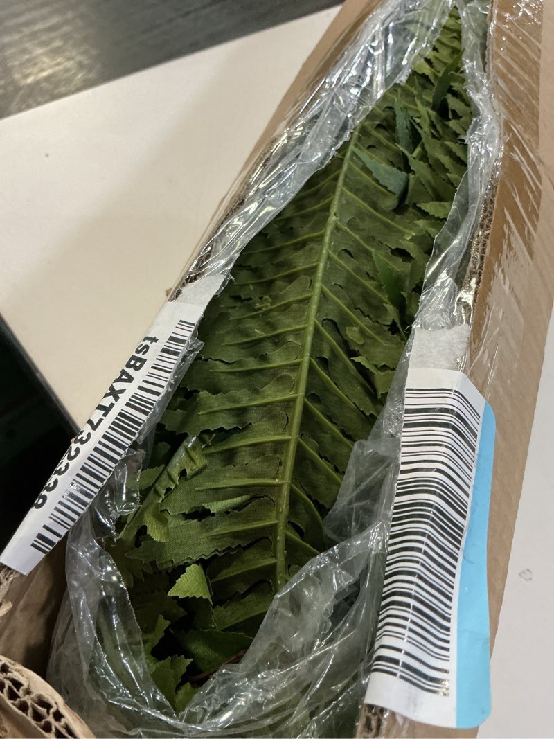 Condition photo showing Good Condition for cqure artificial boston ferns for outdoors, 42 inch large fake fern plant with 48 fronds, set of 2 realistic artificial fern bushes for indoor outdoor garden, porch, patio decor 42" 48 leaves-2pc-a