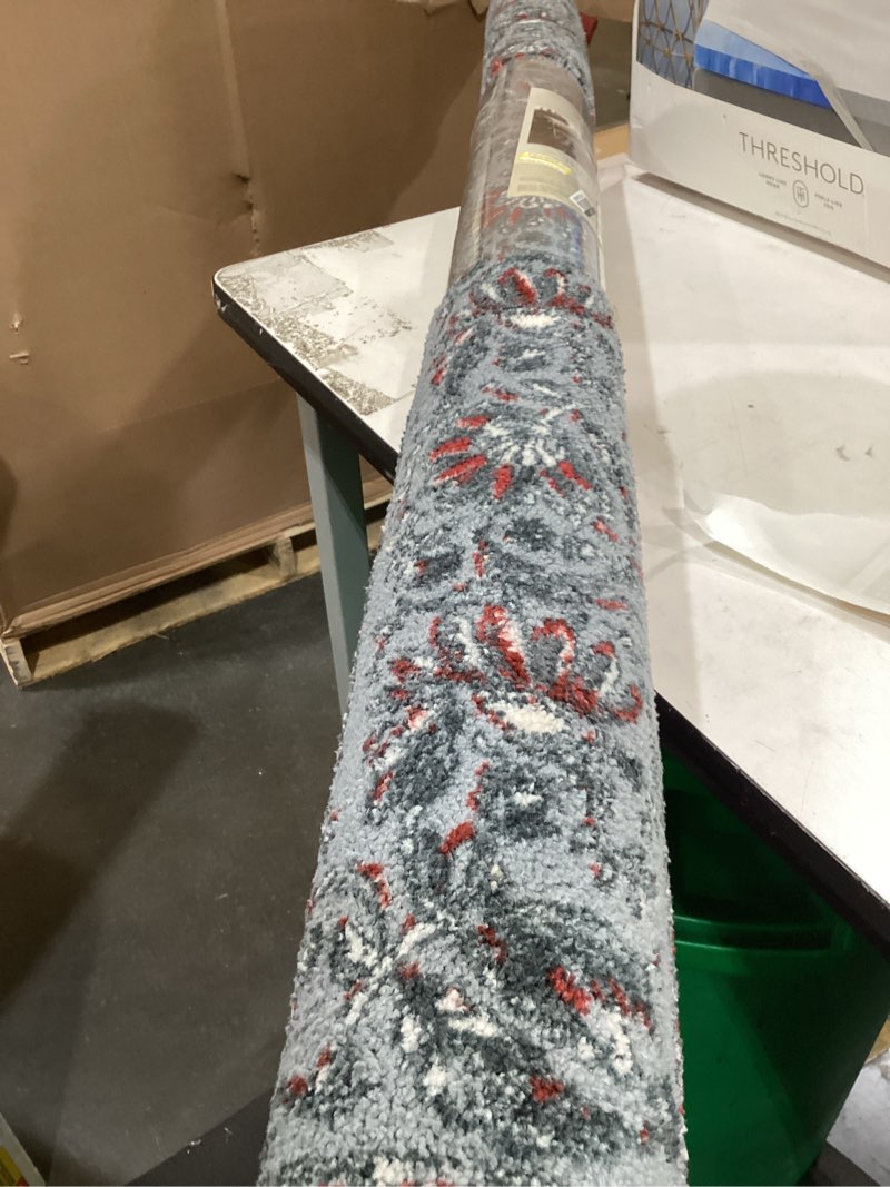 Condition photo showing Good Condition for 5'x7' americana floral area rug red/blue - threshold ?