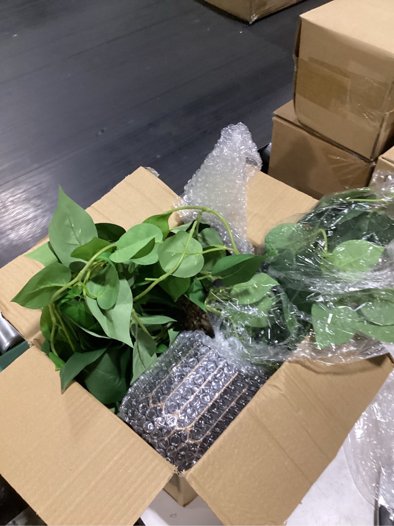 Condition photo showing New/Like New for fake plants 2 pcs faux pothos plants potted indoor artificial hanging plants realistic fake greenery table desk bathroom office bedroom living room shelf modern farmhouse decor indoor green pothos potted
