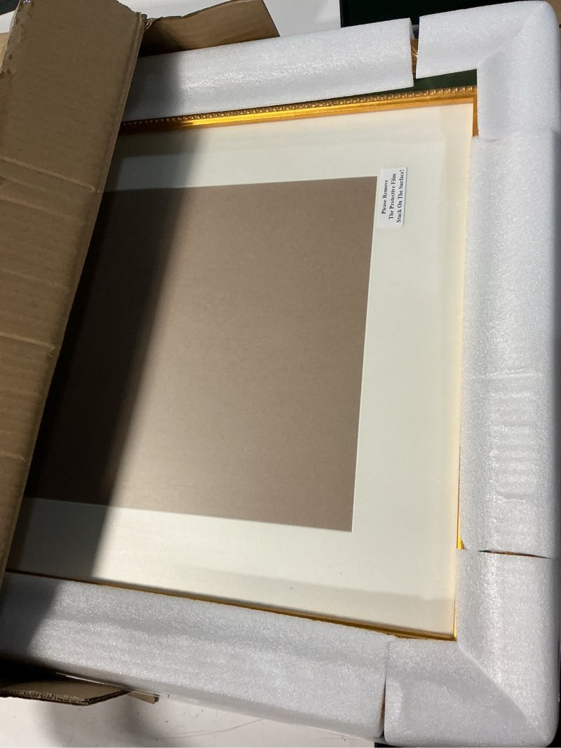 Condition photo showing Good Condition for bwpframe vintage 16x20 picture frame matted to 12x16, victorial style, solid wood, ornate golden frame with hand carved relief floral border, plexiglass and backing included, wall display frame for photos and prints 16"×20"