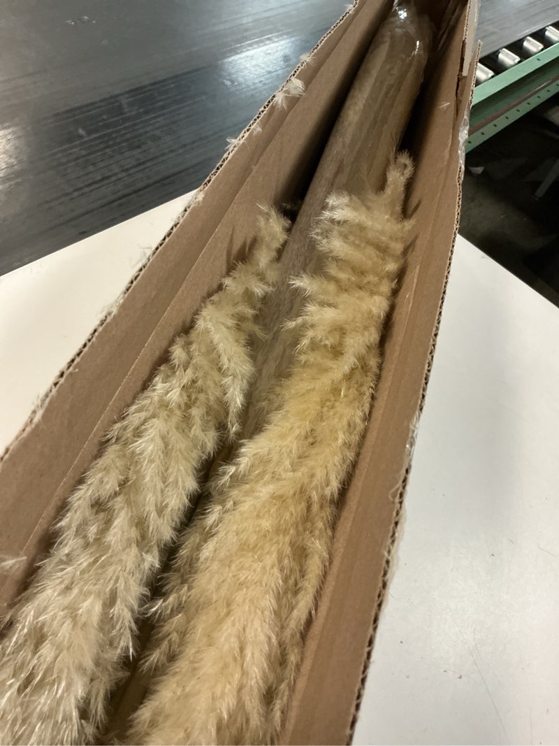 Condition photo showing Good Condition for 40" inch 20 Stems Natural Pampas Grass Decor Tall, Pompas Grass, Tall Pampas Grass for Wedding, Party, Farmhouse, Boho Home Decor