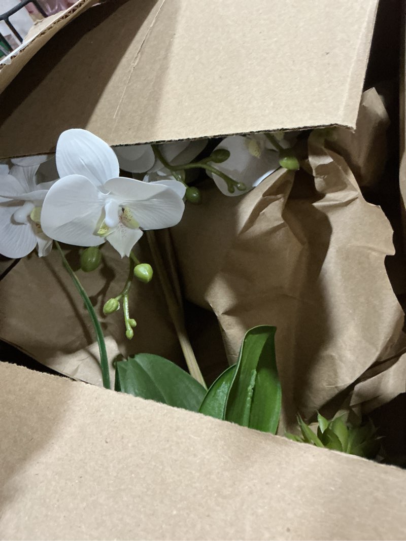 Condition photo showing As Is for briful orchid artificial flowers 18in white fake orchid silk flowers with ceramic pot faux orchid arrangement for home office room coffee table centerpiece modern decoration white#1