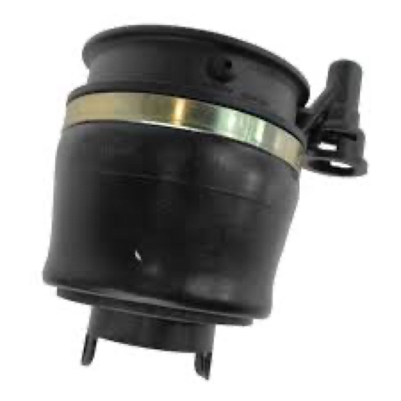 TRQ Front Air Spring for 03-06 Ford Expedition Lincoln Navigator PAA81415