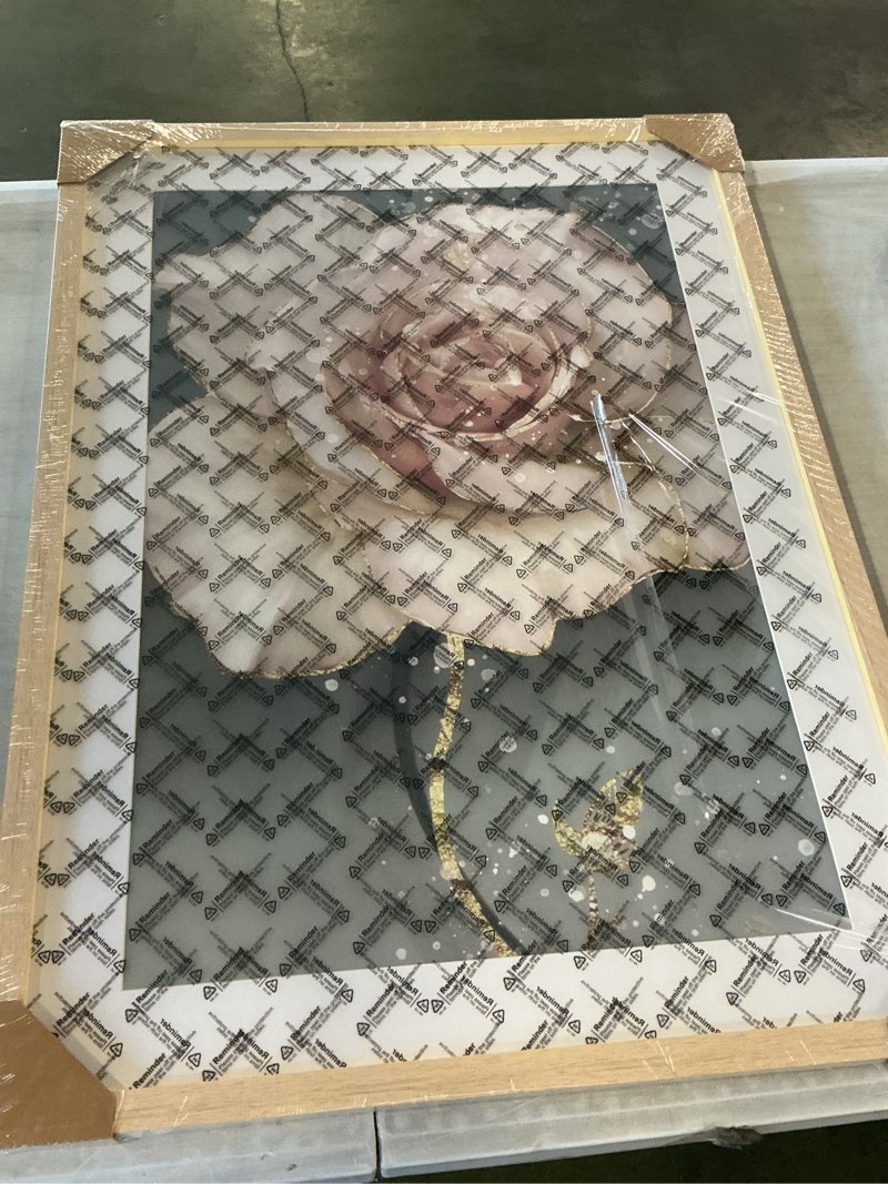 Rose Frame 22x29in Home Decor
