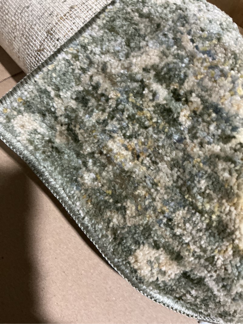 Condition photo showing Good Condition for nuloom kiva medallion 2'8" x 8' runner rug for living room bedroom dining room entryway hallway kitchen, light grey/beige kiva light grey 2'8" x 8' (rectangular)