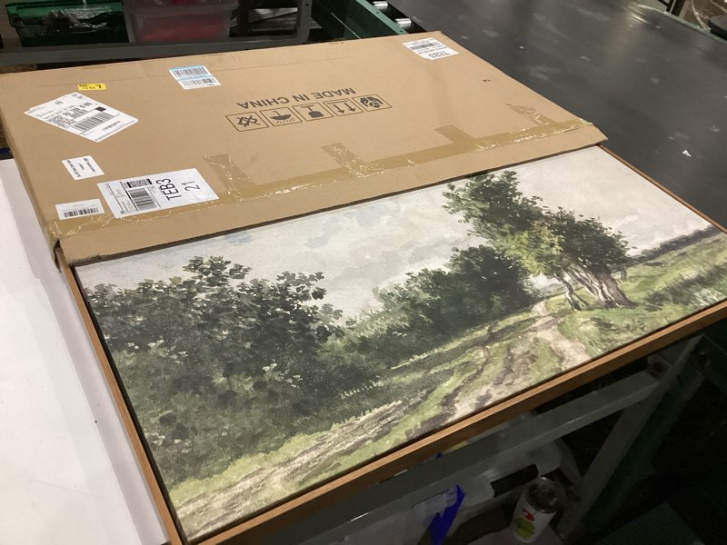 Condition photo showing Good Condition for arpeotcy extra large framed wall art for living room, vintage neutral country farmhouse decor, meadow landscape canvas prints, scenery long picture for bedroom above of bed, 20x40inch watercolor green road 40"l x 20"w