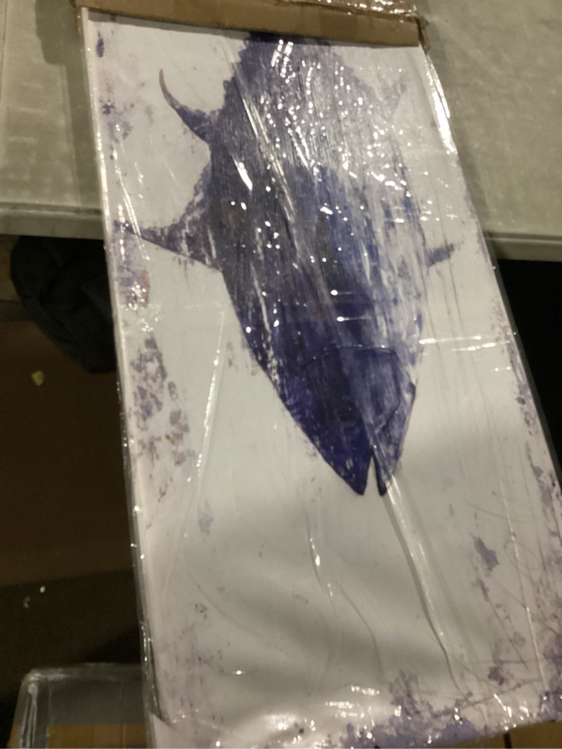 Condition photo showing Good Condition for Yihui Arts Decor Abstract Fish Sealife Canvas Wall Art Prints Gallery Wrapped Ready to Hang for Coastal Bedroom Livingroom Office Wall Decoration 48"L x 16"W Tuna