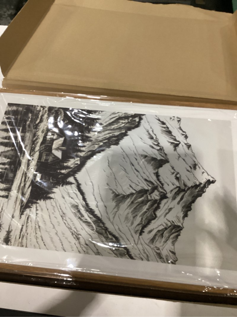 Condition photo showing New/Like New for HOURIA Vintage Sketch Pine Tree Mountain Framed Canvas Wall Art Set,Moody Retro Antique Wilderness Botanical Ridge Decor,Modern Natural Black White Artwork for Living Room,Bedroom,Farmhouse- 16"x24"x3 Sketch Tree Mountain Wall Art 16"L x 24"W