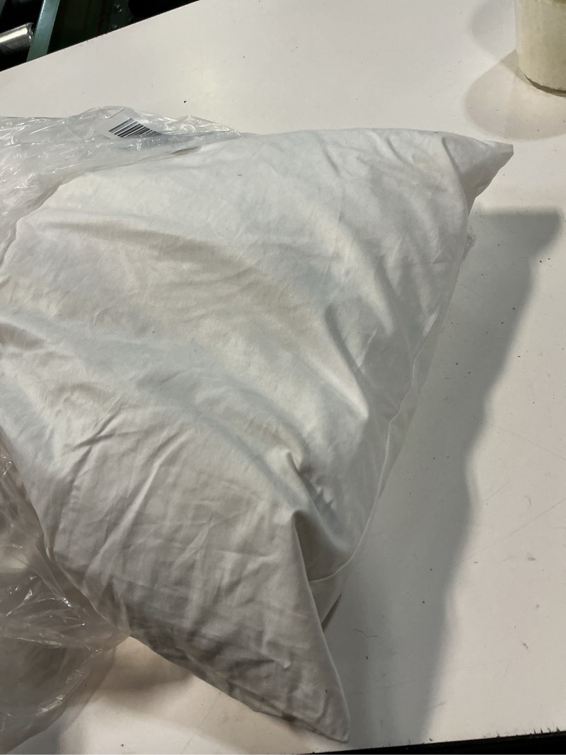 Condition photo showing As Is for premium feather pillow insert (set of 1), 12x20, no color