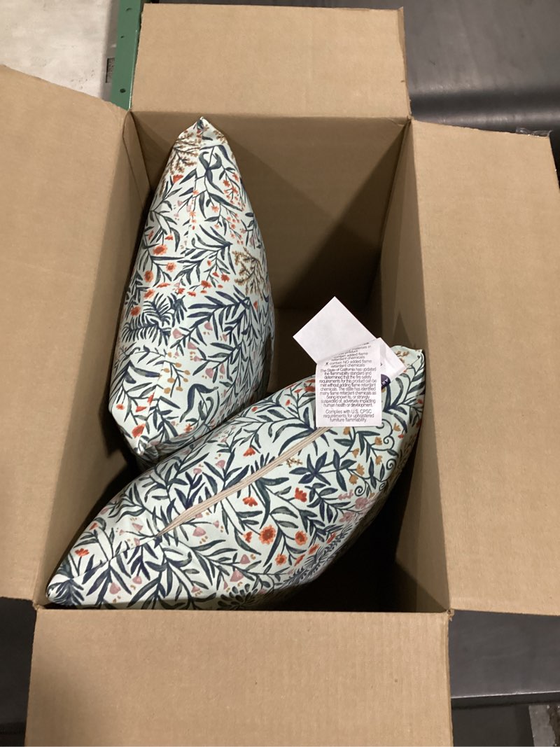 Condition photo showing Good Condition for arden outdoor toss pillow, 2 pack, 16 x 16, rain-proof, fade resistant pistachio botanical 16 x 16 pistachio botanical 2