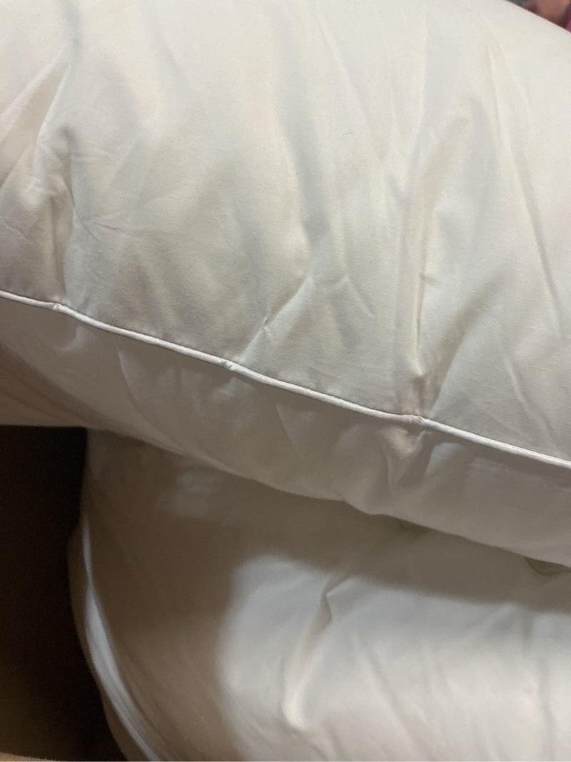 Condition photo showing Good Condition for oubonun 20 x 20 throw pillow inserts (set of 2) with 100% cotton cover - 20 inch square interior decorative sofa pillow insert pair - white couch pillow 20x20 inch (pack of 2)