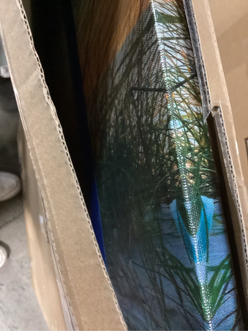 Condition photo showing Good Condition for Wall Art For Living Room Large Size Wall Decorations Pictures Blue Sun Beach Grass Ocean Landscape Painting Office Wall Decor Canvas Prints Ready To Hang For Home Decoration Works Of Art 24" X 48" 48"L x 24"W Blue Sun Beach Grass Ocean Landscape (Wrapped Canvas)