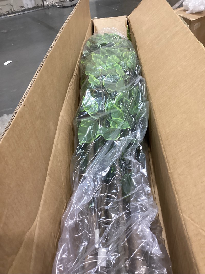 Condition photo showing Good Condition for artificial ficus tree 6ft, faux floor tree indoor outdoor | lifelike ficus leaves with moss topper and cotton basket, perfect for home office, living room, bedroom,entryway decor ficus 6ft