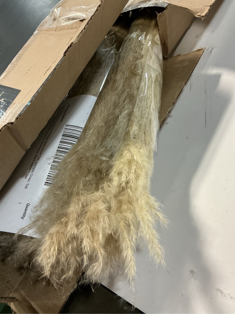 Condition photo showing As Is for 40" inch 10 Stems Natural Pampas Grass Decor Tall, pompas Grass, Tall Pampas Grass for Wedding, Party, Farmhouse, Boho Home Decor