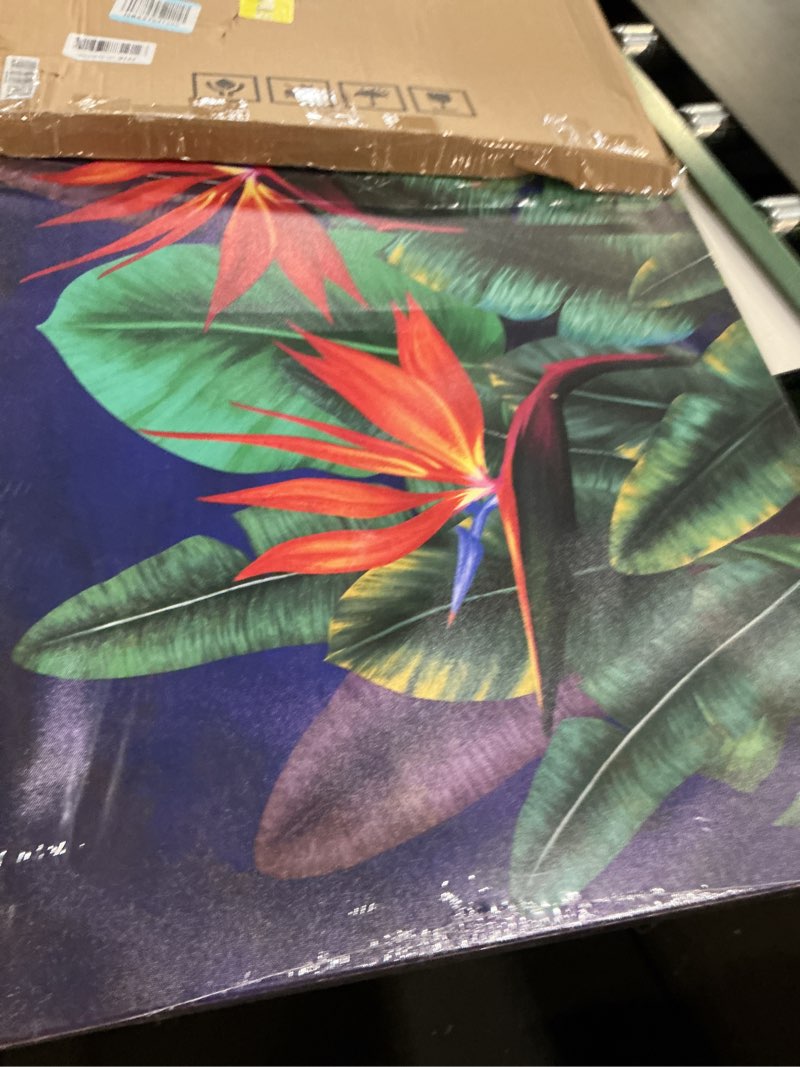 Condition photo showing New/Like New for rnnjoile tropical flower canvas painting bird of paradise pictures wall art hawaiian floral artwork framed 24"x36"