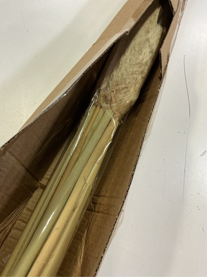 Condition photo showing Good Condition for pasuvsigt 12pcs 40'' dried pampas grass decor - tall-large pampas grass - natural beige - boho home decor 40inch-12pcs beige