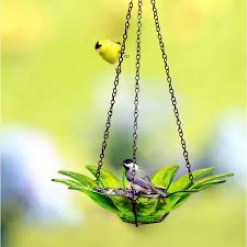 Couronne Co. COURM34920001 12 inch Daisy Birdbath Lime