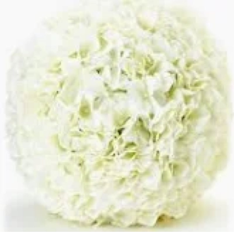 PLASTIC HYDRANGEA BALL 14"D