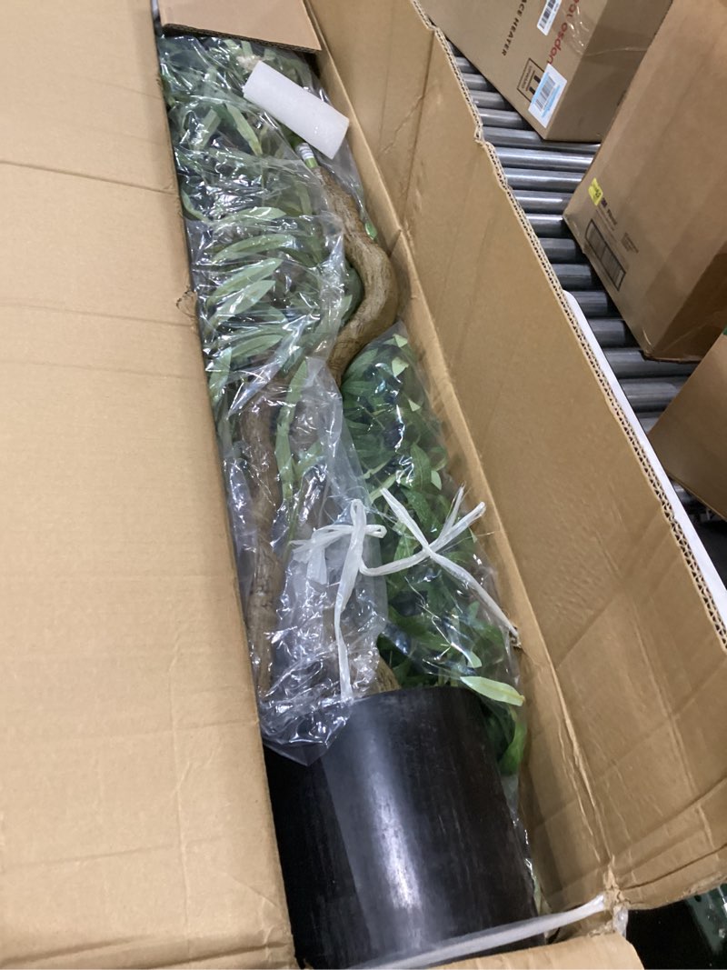 Condition photo showing New/Like New for Olive Trees Artificial Indoor - Faux Olive Tree 7ft with Large Olive Branches and Lifelike Fruits - Artificial Olive Tree for Modern Home Office House Living Room Decor