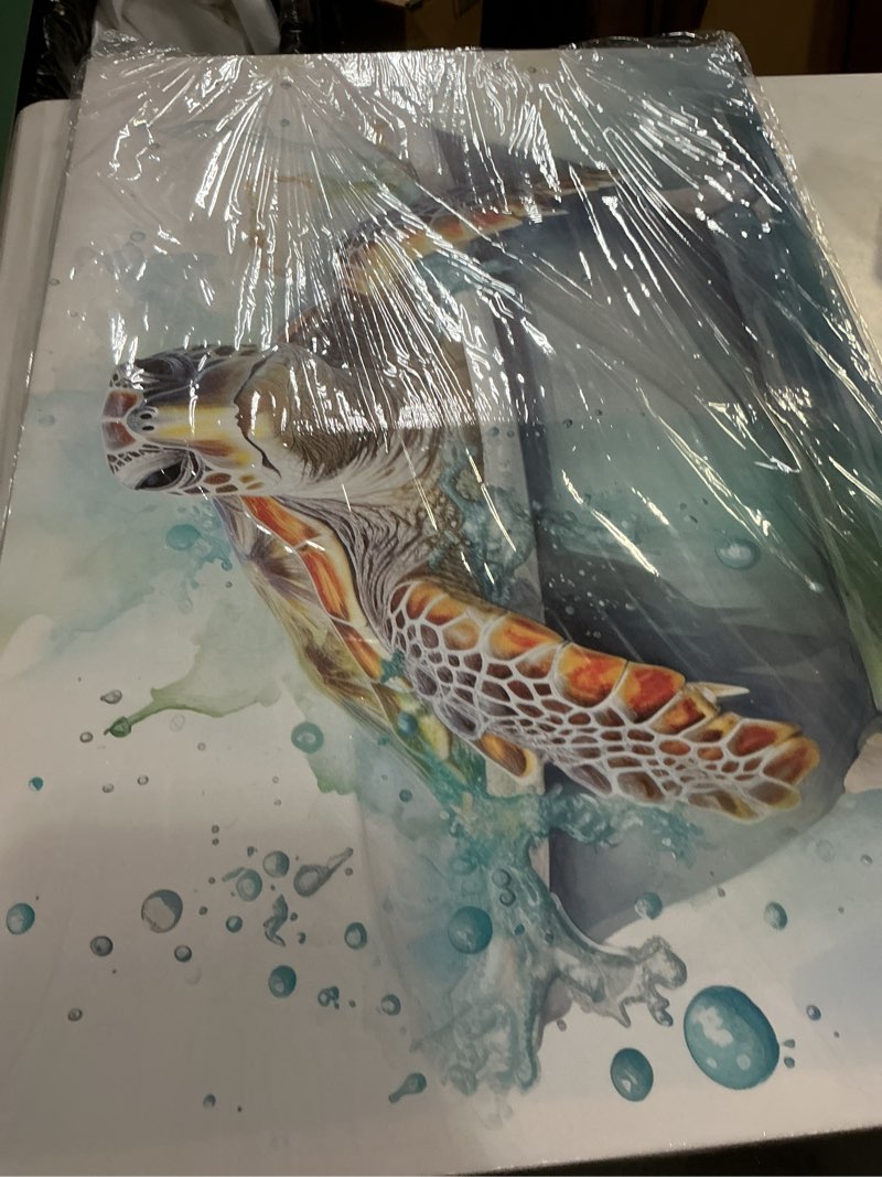 Condition photo showing Good Condition for QIXIANG Sea Turtle Bathroom Wall Art Funny Sea Turtle in Bathtub Canvas Painting Art Ocean Animal Wa
