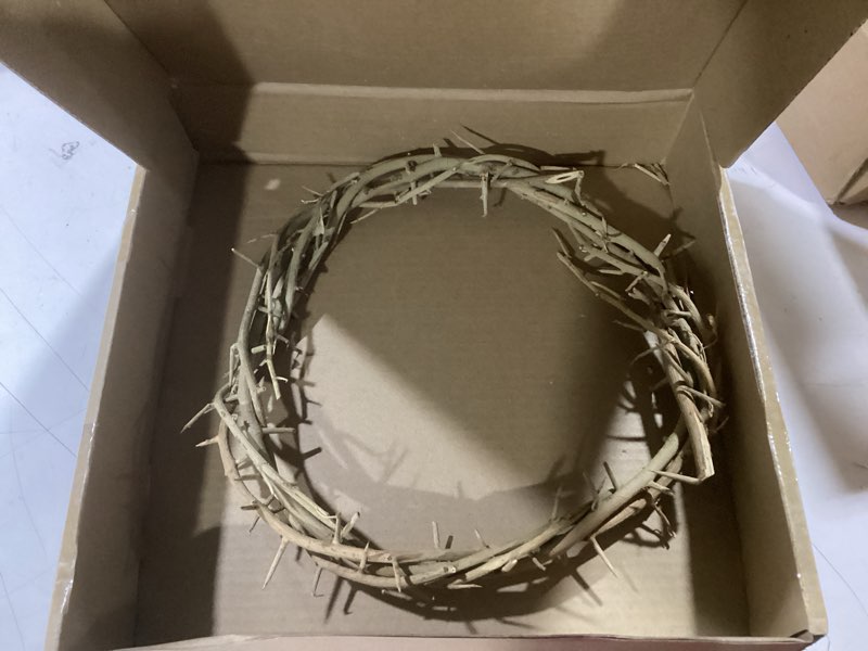 Condition photo showing Good Condition for Jesus Thorn of Crown Headpiece-Crown of Thorns Ring, 7.5-8" Crown of Thorns Plant,Handmade Wearable Crown Decor for Christian Easter, Church Events, and Christmas Tree Topper (Wood Color)