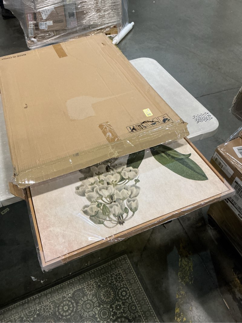 Condition photo showing Good Condition for large framed canvas wall art - natural float framed rustic green flowers leaves pictures paintings white grey artwork decor for bedroom living room kitchen home office decoration 72" x 36" set of 3 24" x 36" x 3pieces framed green