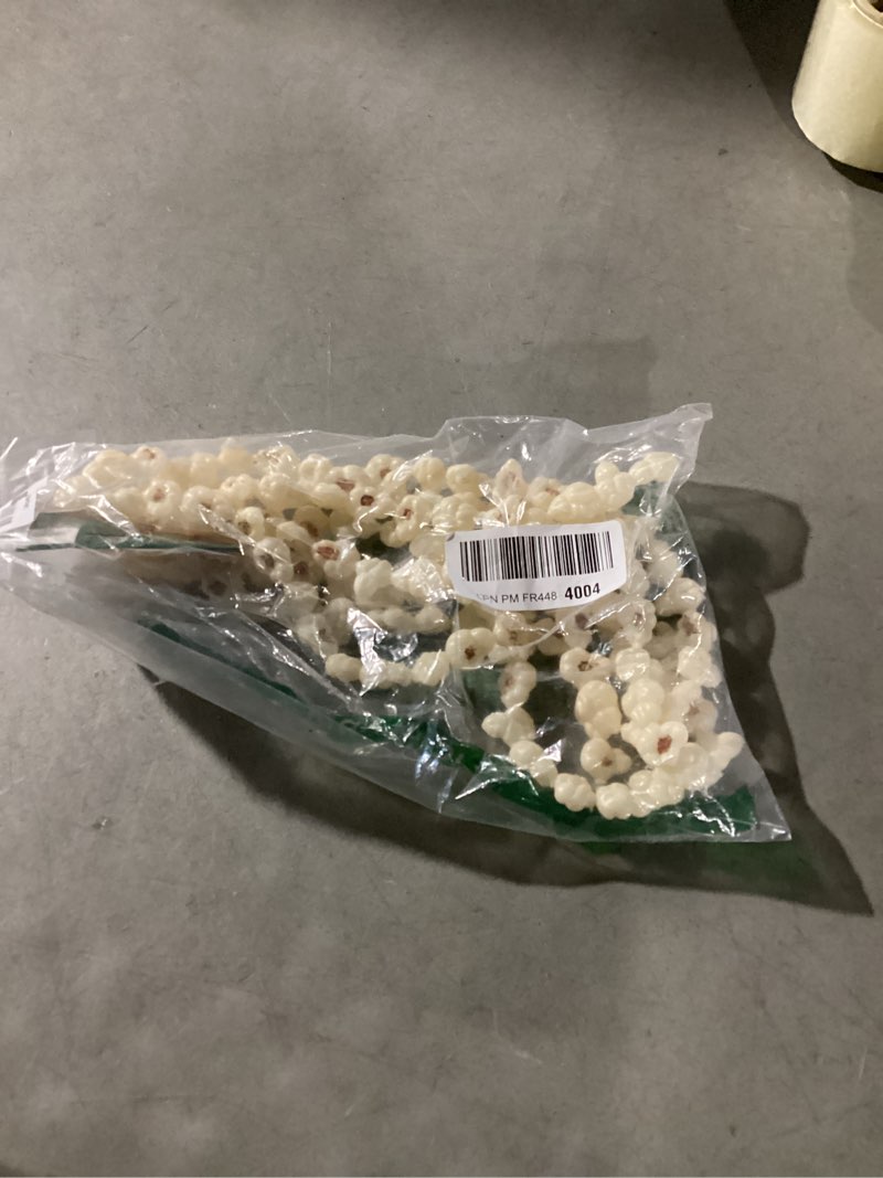 Condition photo showing Good Condition for 9-foot popcorn garland