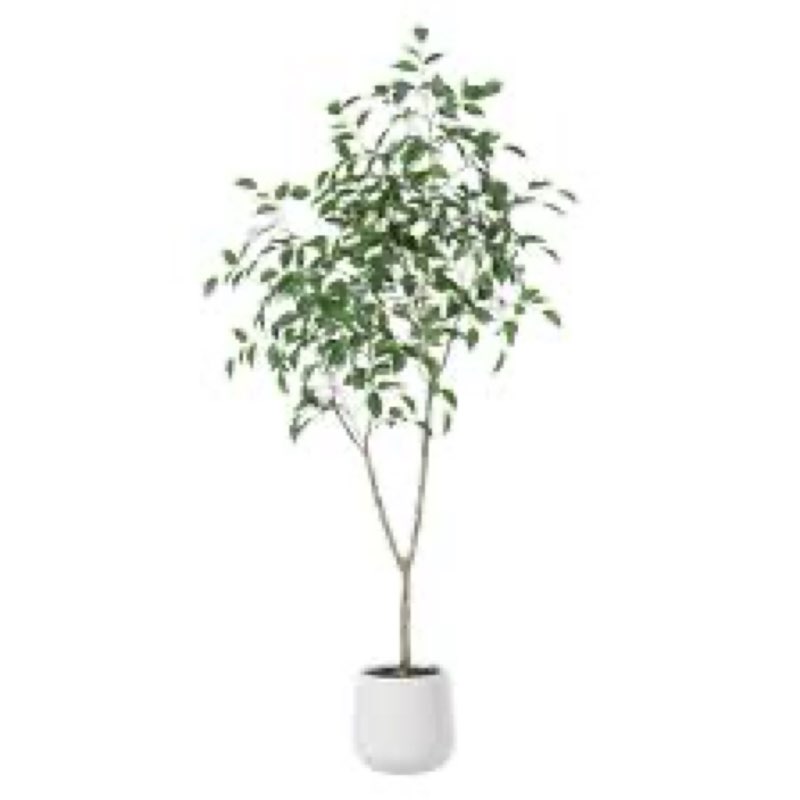 Adcock Faux Ficus Tree with Oval White Planter, Pre Potted Faux Greenry Plant with white side leaves INCOMPLETE 